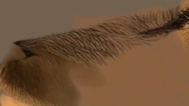 Как нарисовать шерсть оленя. часть 2. программа Autodesk Sketchbook смотреть онлайн