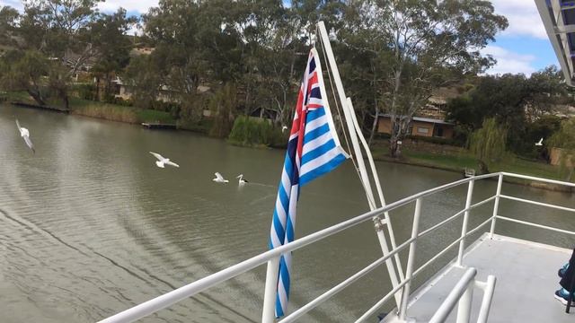 Австралия.Из Аделаиды в город Манум и после на теплоходе по реке "Мурэй'.Сентябрь2018 смотреть онлайн