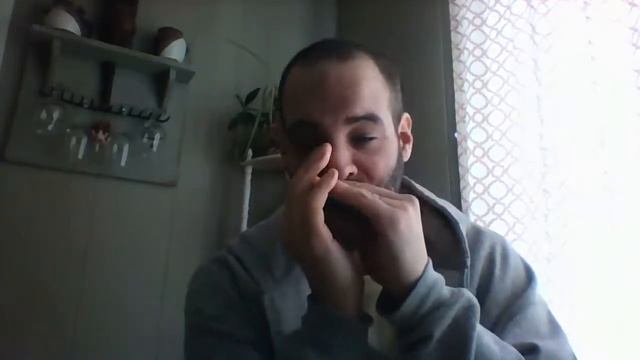 SEYDEL CLASSIC 1847 LOW A minor HARMONICA.. смотреть онлайн