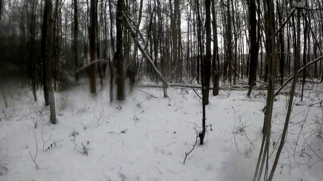 Охота проходными капканами на куницу. смотреть онлайн