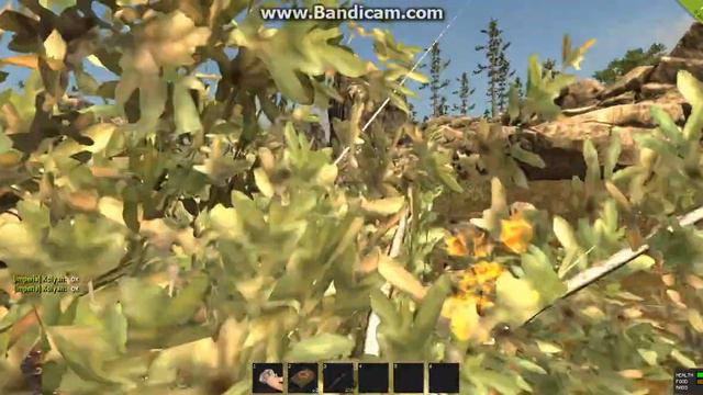 Бегаем в Rust от диких медведей и волков смотреть онлайн