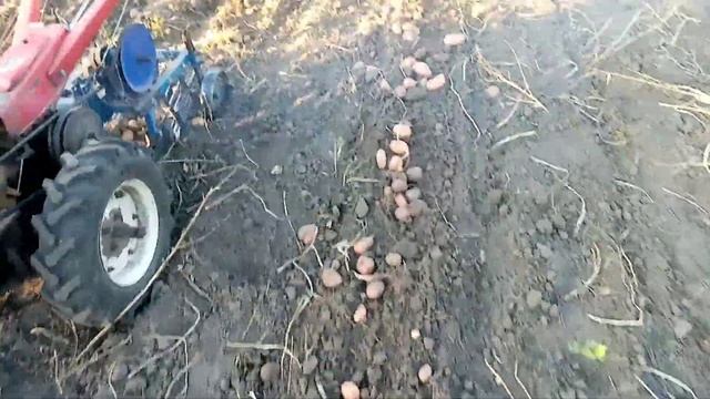 Грохотна копалка, і мотоблок форте смотреть онлайн