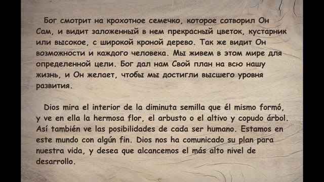 Развитие_Возможности_Служение_Доброта | El desarrollo_Las aportunidades_El servicio_La bondad смотреть онлайн