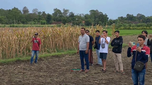 Carreta wong pusat ‼️kompak audio full FusoTrailer persiapan cek sound 24sub di markas Sabilu Tauba смотреть онлайн
