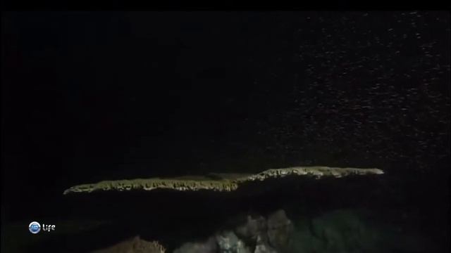 Коралловые рифы острова Окинава смотреть онлайн