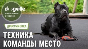 Команда «Место» — Техника выполнения