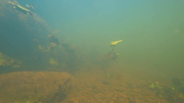 Подводная охота. ЭТА РЕКА РАЙ ДЛЯ ПОДВОДНОГО ОХОТНИКА. смотреть онлайн