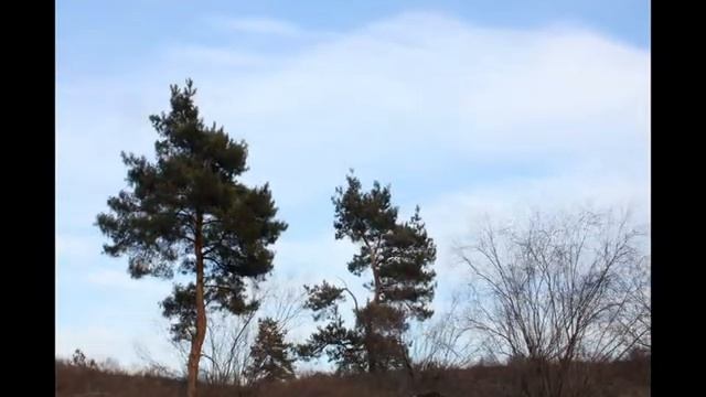 Пейзажная сказка города Счастья смотреть онлайн
