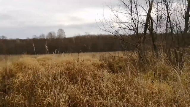 Покатушки на квадроцикле. Убежали от медведя. смотреть онлайн