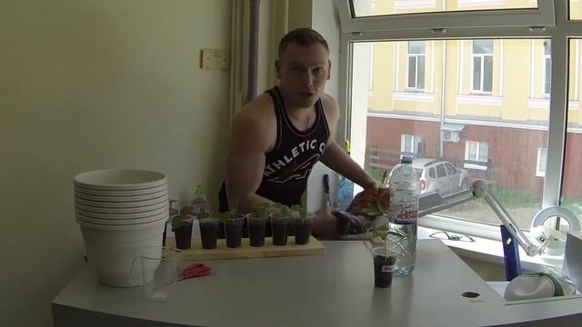 "На грядке у Палыча" (выпуск №1) смотреть онлайн