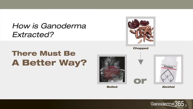 Ganoderma 365 смотреть онлайн