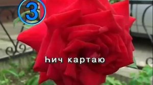 Туган көн.Татарское Караоке