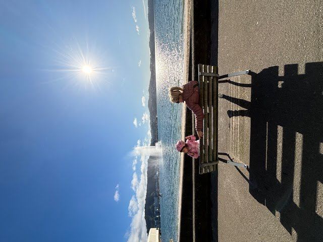 Пробежки по утреннему Веллингтону. Подготовка к марафону #naturelovers #newzealand #adventure