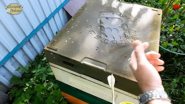 ульи медведь через год и варианты покраски ппу ульев ульям хана, разрушение ульев из ППУ смотреть онлайн