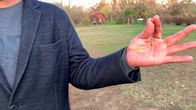 Дрессировка собак. КОМАНДА РЯДОМ смотреть онлайн