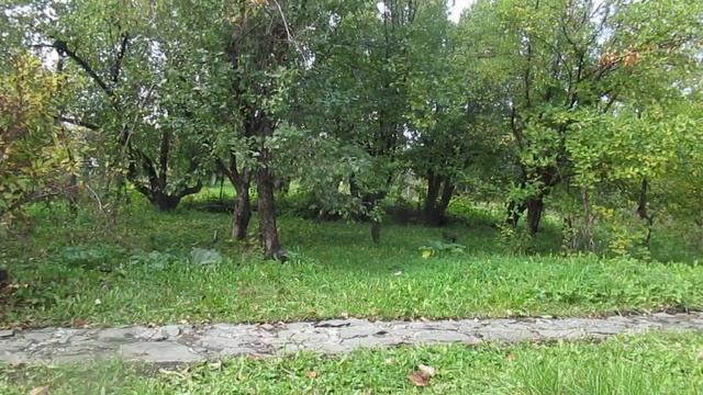 Твои бы строки... смотреть онлайн