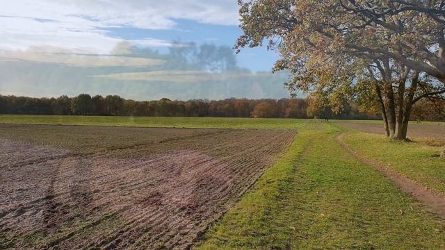 Нидерланды или Голландия, как правильно. Интересные места и истории смотреть онлайн