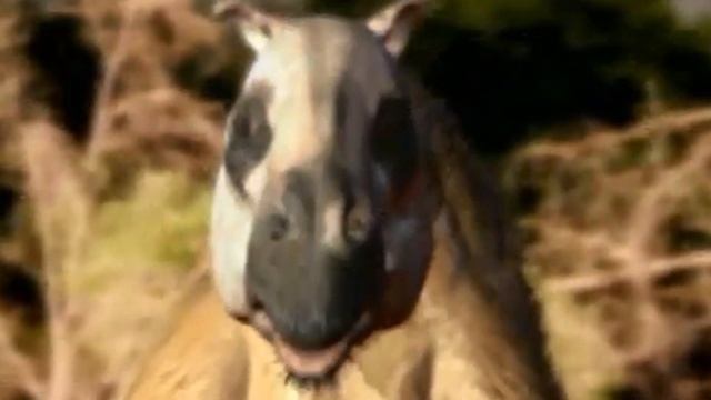 Walking With Beasts (2001) Review смотреть онлайн