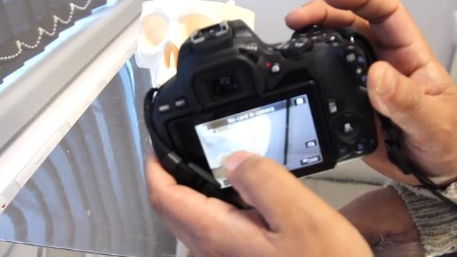 Canon 250D Basic Tutorial смотреть онлайн