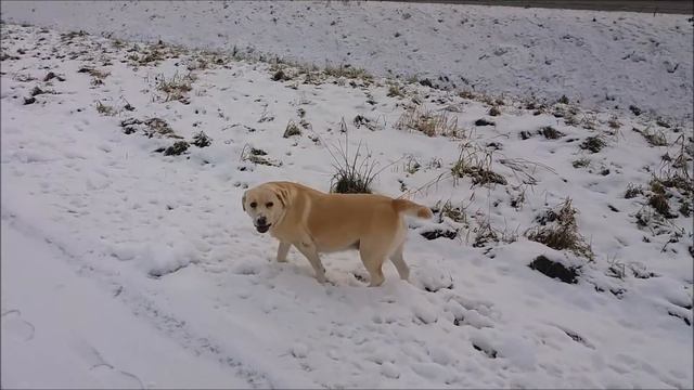 Урааааа!!! Снееег!!! смотреть онлайн