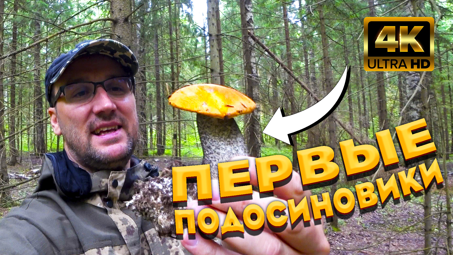 ? На конец - то пошли благородные грибы ? Подосиновики, подберёзовики и летние опята ? смотреть онлайн