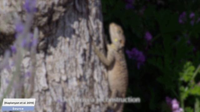 This Neural Network Performs Foveated Rendering смотреть онлайн