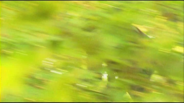 Спецназ смотреть онлайн