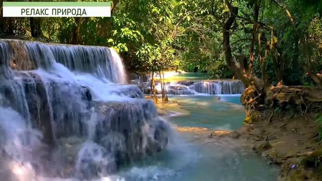 Волшебный водопад в диких джунглях. смотреть онлайн