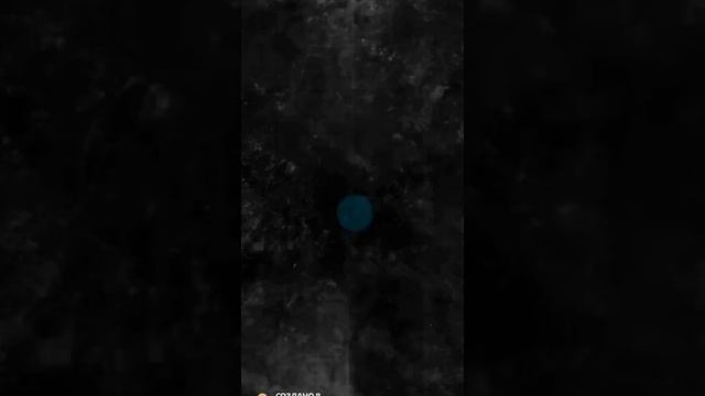 Несомненные лидеры сезона смотреть онлайн