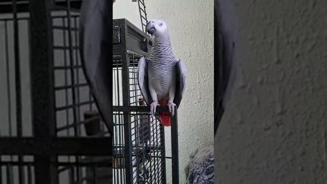 урок почти удался! смотреть онлайн