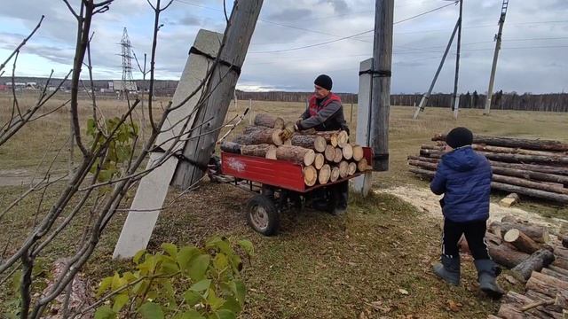 Дела житейские // Готовлю печенье без сахара ? смотреть онлайн