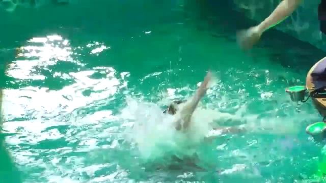 цирк на воде, 2 отделение смотреть онлайн