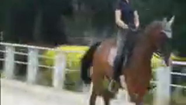 KUR Lotos video смотреть онлайн