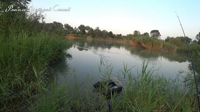 Не спорь с профессионалом! … Ночные белые амуры любят пареную кукурузу смотреть онлайн