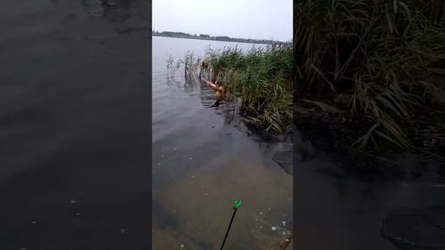 Приколы на рыбалке. смотреть онлайн