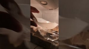 Как заменить лампочку в холодильнике Бирюса и не только