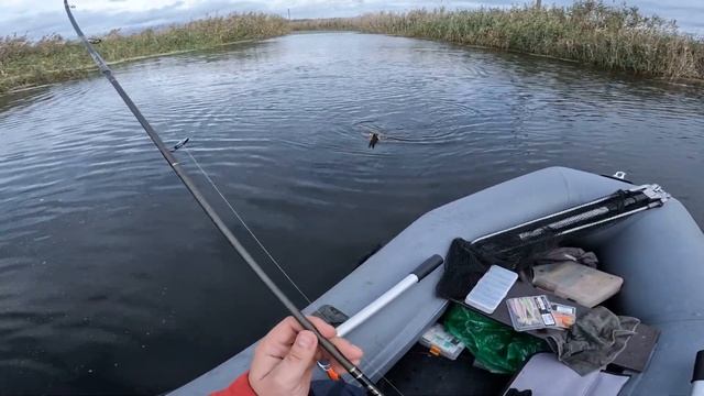 ЩУКА СОШЛА С УМА,и Я ВМЕСТИ С НЕЙ L НОВЫЙ СПИННИНГ