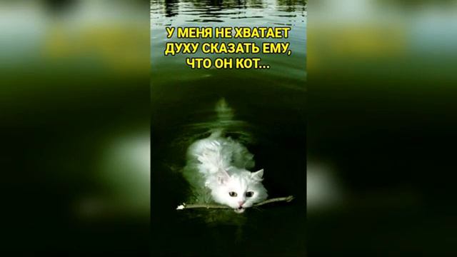 Лютые приколы и МЕМЫ Интернета - В ШКОЛЬНОМ МЕДПУНКТЕ смотреть онлайн