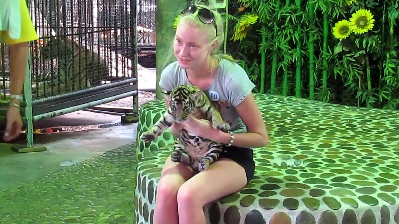 НЕСЧАСТНЫЕ ЖИВОТНЫЕ ТАЙЛАНДА ПАТТАЙЯ Pattaya смотреть онлайн