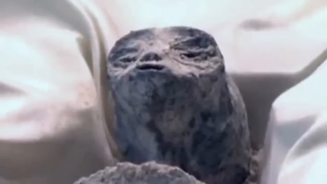 The Aliens Were Just Put Through X-Ray Machines & CT Scans And They Revealed The Results смотреть онлайн
