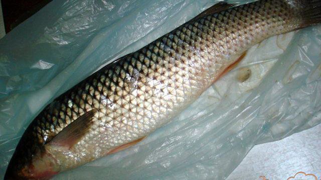 Вкусные будни