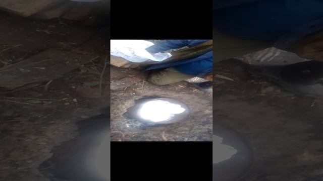 VID_20230401_104018.mp4