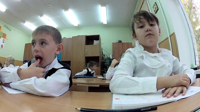 Кошка смотреть онлайн