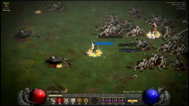 diablo 2 nintendo switch стрим diablo 2 играем за палладина лучшим билдом в мире смотреть онлайн