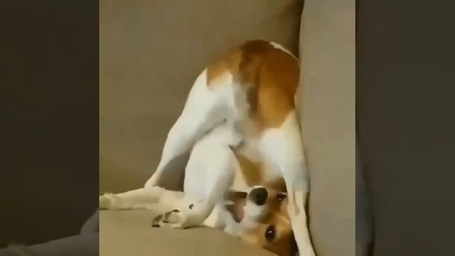 Чем же еще заняться на выходных?