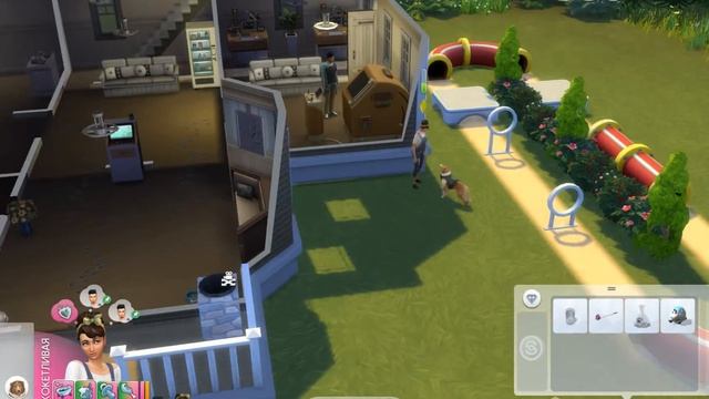 The Sims 4 Кошки и собаки #2 Дрессировка смотреть онлайн