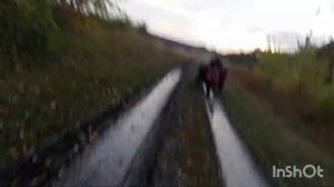 Покатушки на мотороллерах муравьях. По просторам села