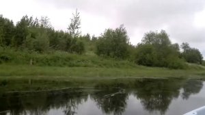 Афалина 380Б и Tohatsu 9.8