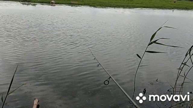 Рыба сошла с ума. микро джиг, микро калебло, и микро вертушки, клюёт плотва,карась и окунь смотреть онлайн