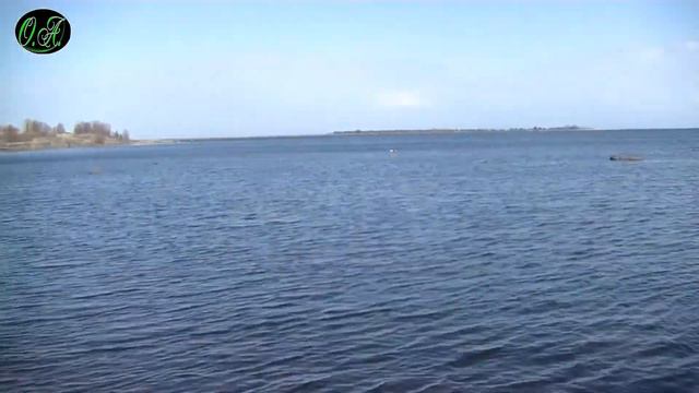 СКАЛЫ, МОРЕ, ЧАЙКИ смотреть онлайн